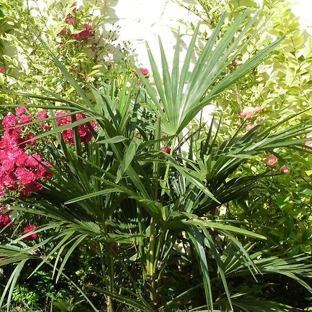 A La Fleur D Oranger - Lille La Madeleine Bed and Breakfast La Madeleine  Εξωτερικό φωτογραφία